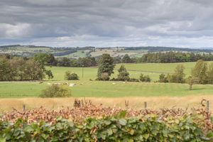 Photo 41- click for photo gallery